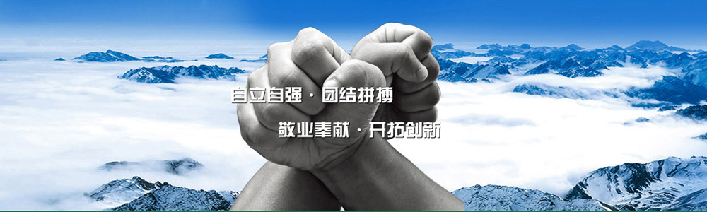 Z6·尊龙凯时「中国」官方网站_项目65